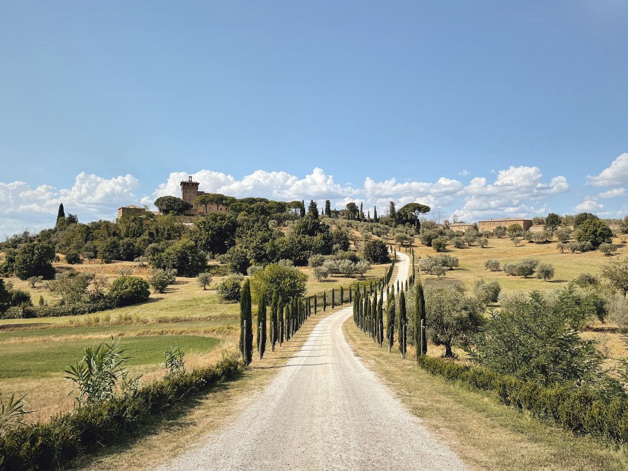 Zypressenallee zu einem Gut bei Pienza